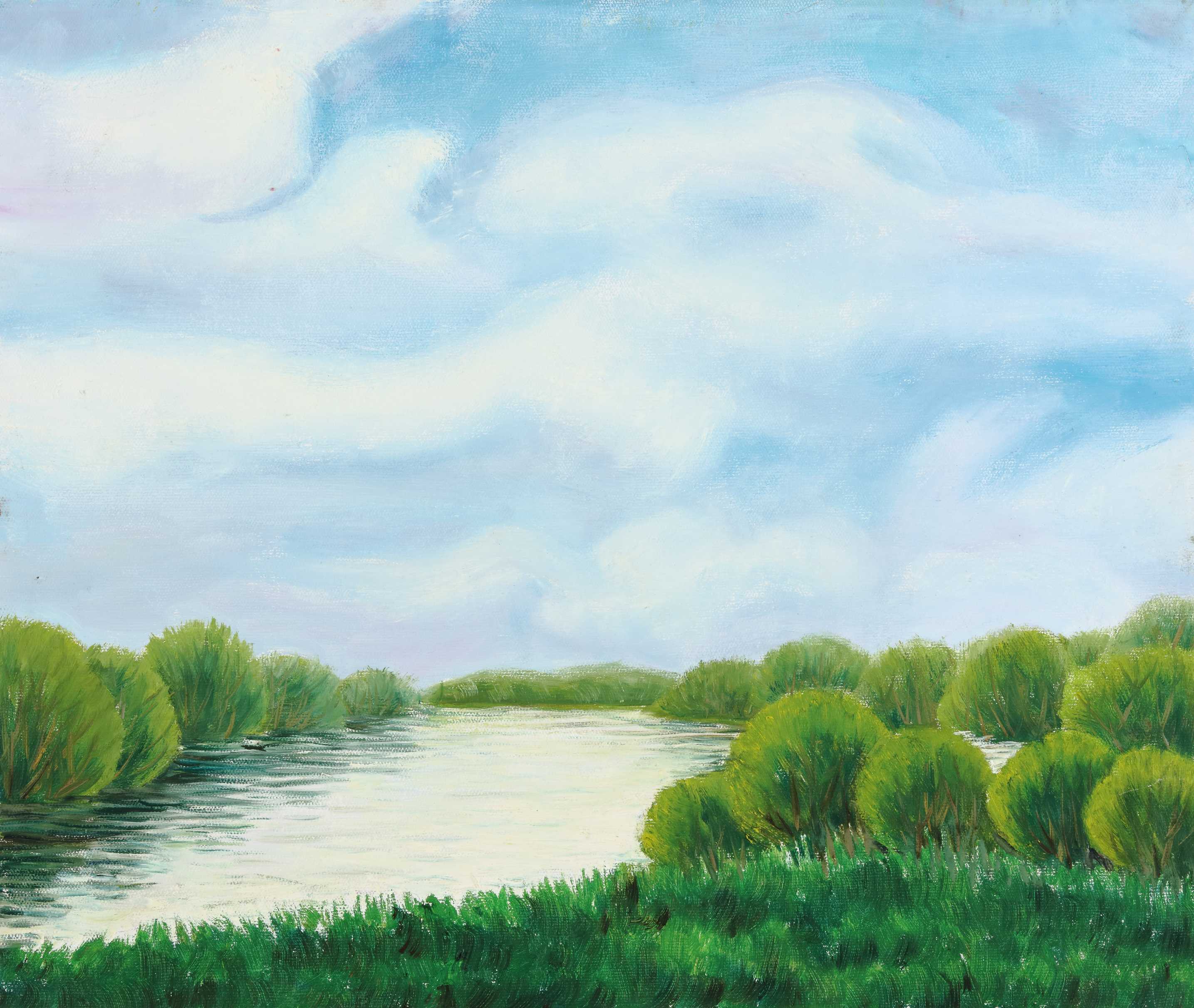 李宏斌46  蓝天白云 55cm × 46cm  布面油画(图3)